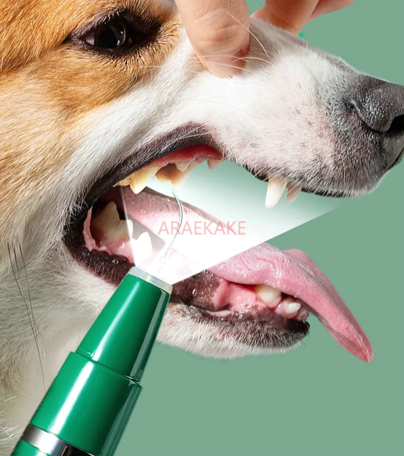 ZoolaClean Ultrasonic Dental Pen