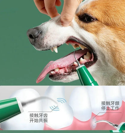 ZoolaClean Ultrasonic Dental Pen